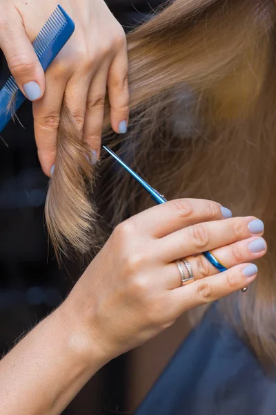 Saç kesimi ve çok renkli ipliklerini birikmesi