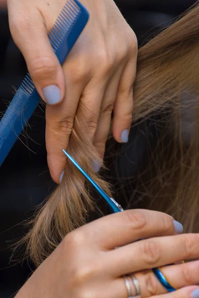 Saç kesimi ve çok renkli ipliklerini birikmesi