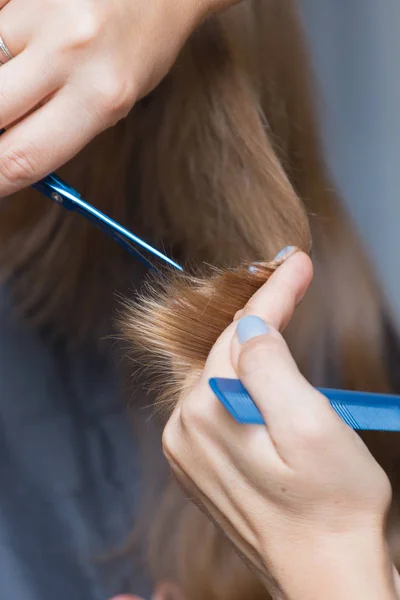 Kapsel en de opbouw van veelkleurige strengen — Stockfoto