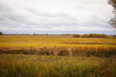 Sonbahar manzara. Büyülü sonbahar ağaçlar, sazlık, göl