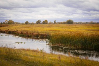 Sonbahar manzara. Büyülü sonbahar ağaçlar, sazlık, göl