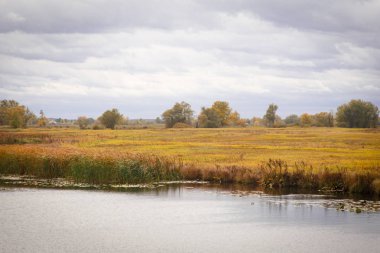 Sonbahar manzara. Büyülü sonbahar ağaçlar, sazlık, göl