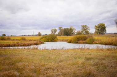 Sonbahar manzara. Büyülü sonbahar ağaçlar, sazlık, göl
