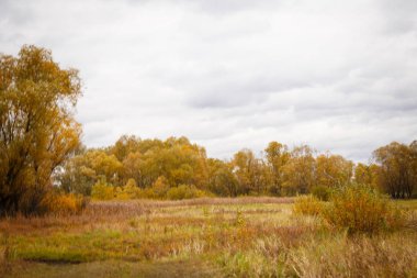 Sonbahar manzara. Büyülü sonbahar ağaçlar, sazlık, göl