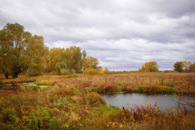 Sonbahar manzara. Büyülü sonbahar ağaçlar, sazlık, göl