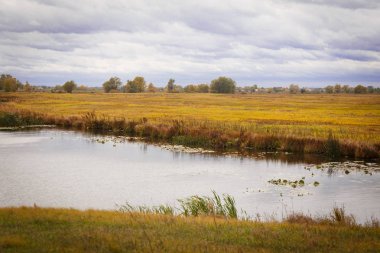 Sonbahar manzara. Büyülü sonbahar ağaçlar, sazlık, göl