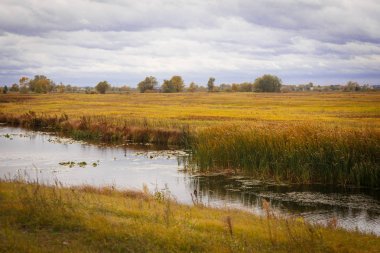 Sonbahar manzara. Büyülü sonbahar ağaçlar, sazlık, göl