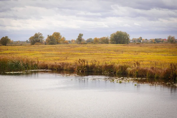 Paysage d'automne. Arbres magiques d'automne, roseaux, lac — Photo