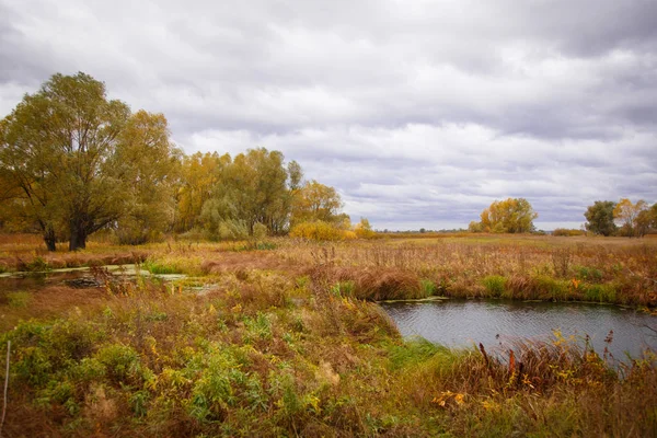 Sonbahar manzara. Büyülü sonbahar ağaçlar, sazlık, göl