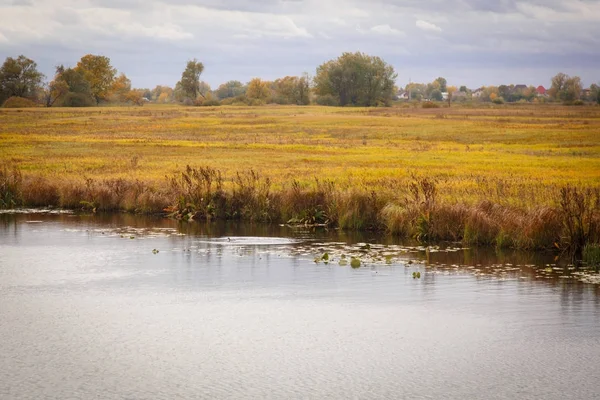 Paysage d'automne. Arbres magiques d'automne, roseaux, lac — Photo