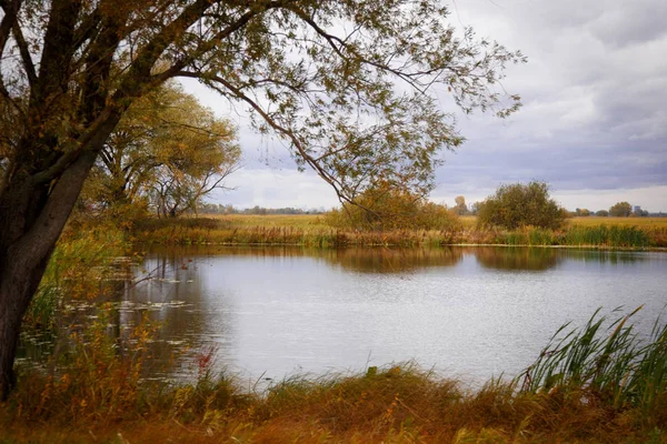 Paysage d'automne. Arbres magiques d'automne, roseaux, lac — Photo