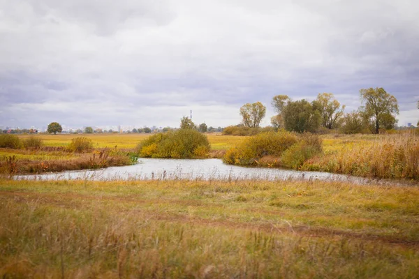 Paysage d'automne. Arbres magiques d'automne, roseaux, lac — Photo