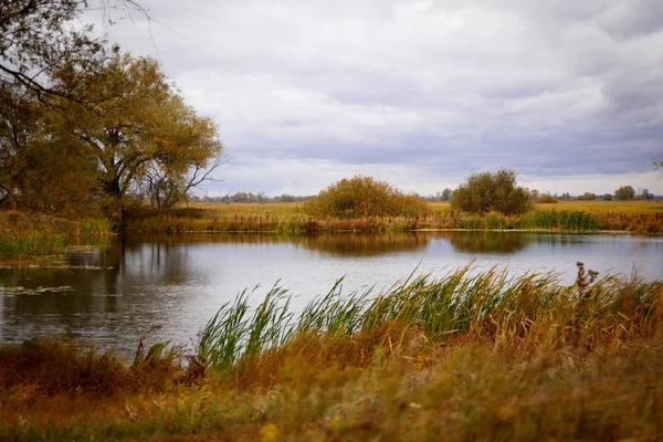 Autumn landscape. Magical autumn trees, reeds, lake Stock Picture