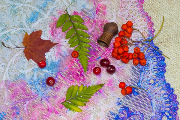 Berries and leaves — Stock Photo, Image