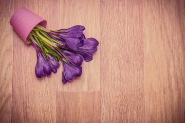 pembe tencerede çiğdemler görünümü top