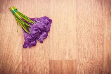 Mor çiğdemler yakın çekim