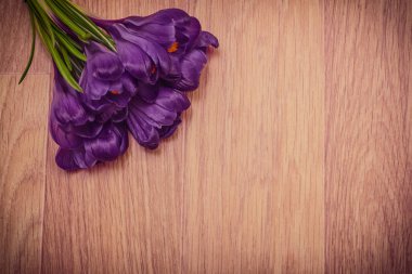 Mor çiğdemler yakın çekim