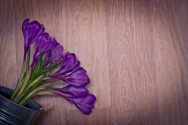 tencerede mor çiğdemler