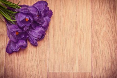 Mor çiğdemler yakın çekim