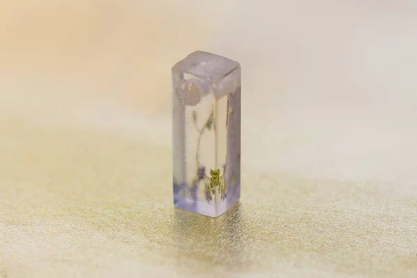 Transparenta kristall tillverkade av epoxy resin och blomma närbild — Stockfoto