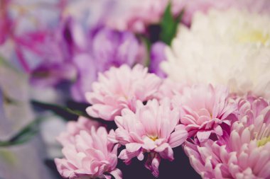 Mor ve beyaz kasımpatı ve asteria buket tonlu görüntü