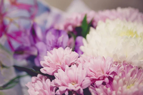 Crisântemos roxo e branco e asteria bouquet tonificado imagem — Fotografia de Stock