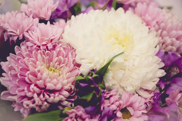 Mor ve beyaz kasımpatı ve asteria buket tonlu görüntü