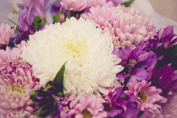 Mor ve beyaz kasımpatı ve asteria buket tonlu görüntü