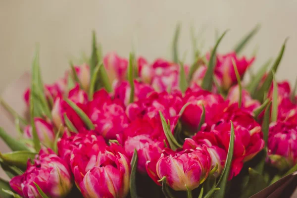 Bouquet de tulipes roses — Photo