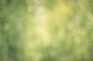 Bokeh tonlu hayal ile deffocused yeşil arka plandan yapılmış doku