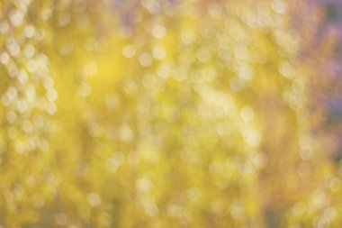 Bokeh tonlu ima ile deffocused sarı arka plan yapılmış doku