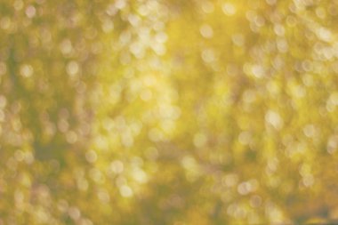 Bokeh tonlu ima ile deffocused sarı arka plan yapılmış doku