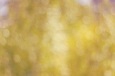 Bokeh tonlu ima ile deffocused sarı arka plan yapılmış doku