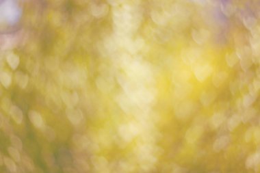 Kalp şeklinde bo ile defokus sarı arka plan yapılmış doku