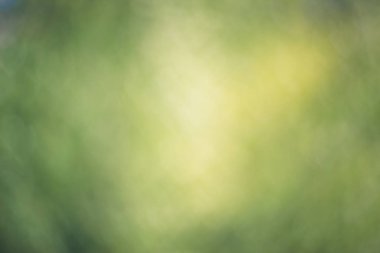 Kalp şeklinde bok ile defokus yeşil arka plan yapılmış doku