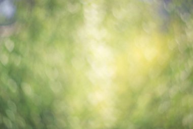 Kalp şeklinde bok ile defokus yeşil arka plan yapılmış doku