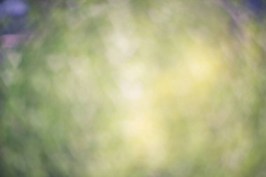 Kalp şeklinde bok ile defokus yeşil arka plan yapılmış doku