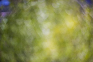 Kalp şeklinde bok ile defokus yeşil arka plan yapılmış doku