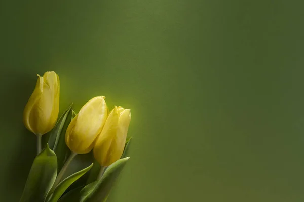 Три Желтых Тюльпана Сверху Вид Зеленый Фон Лежащий Солнце Крупный — стоковое фото