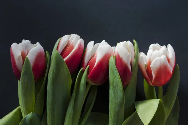 Bouquet Tulipes Roses Blanches Plat Posé Sur Fond Noir Tulipes — Photo