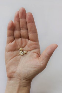 Kadın avucunda kullanılmış sermet diş kaplaması var. Beyaz arkaplanda üst görünüm resmi, seçici odak.