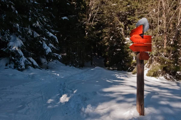 Dağlar, kış manzarası