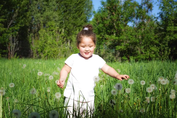 Graziosa poco ricci kazakh ragazza su dente di leone campo — Foto Stock