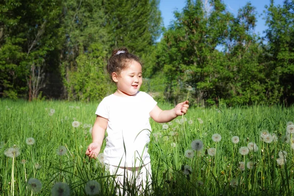 Graziosa poco ricci kazakh ragazza su dente di leone campo — Foto Stock