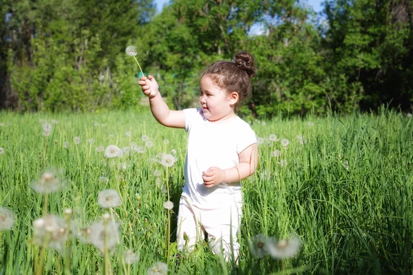 Pretty little curly kazakh girl on dandelion field — Stock Photo, Image