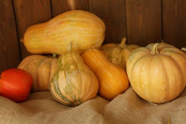 Sonbahar sebze. kabak, elma