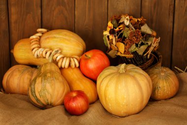 Sonbahar sebze. kabak, elma