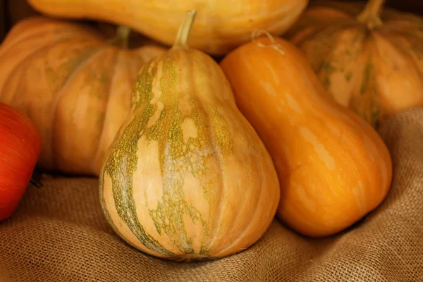 Höstens grönsaker. pumpor, äpplen — Stockfoto