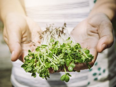 Çiftçi sebze organik tarım ürün tutan el