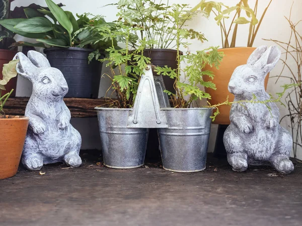 Lapins Lapin Poupée Pots de plantes Décoration de jardin Hipster — Photo